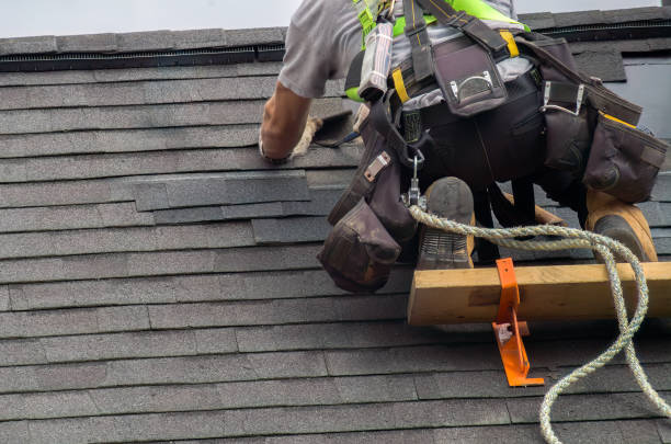 Professional Roofing Contractor in Quantico Base, VA