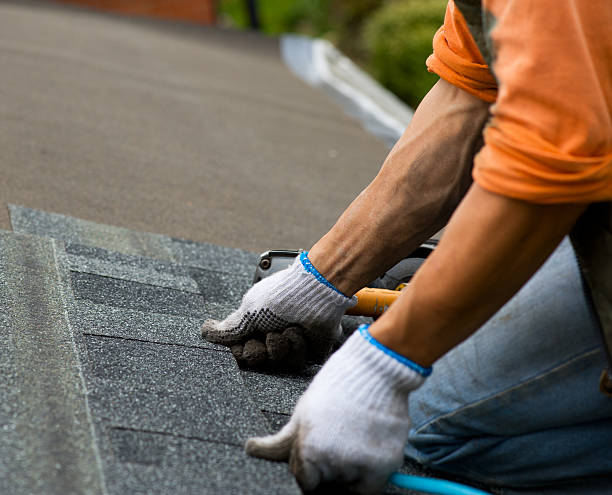 Professional Roofing Contractor in Quantico Base, VA